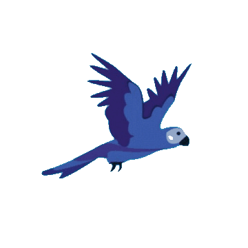 Lecąca papuga - Ładowanie strony