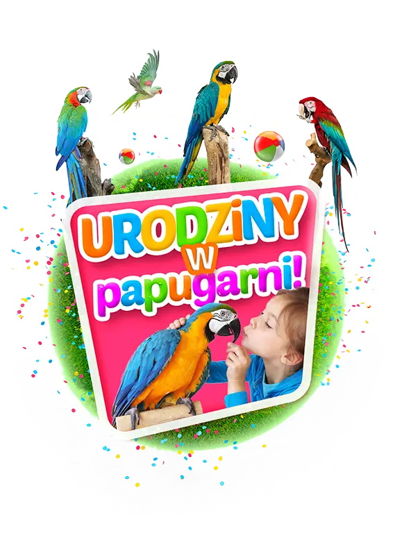 Urodziny w papugarni